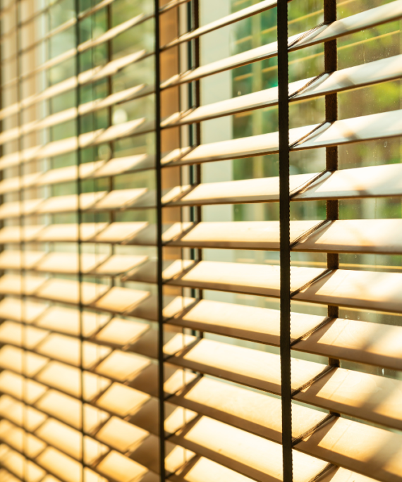 Venetian Blinds